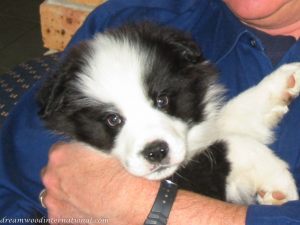 2008-08_Ciaran 002
